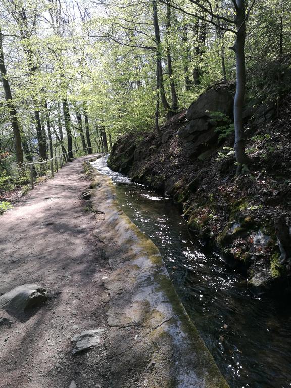 Ferienhaus Am Radweg Brotterode Zewnętrze zdjęcie